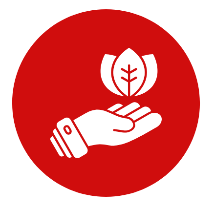 Rich & Natural Ingredients